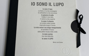 Copertina testo Italiano