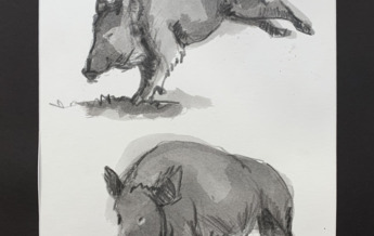 Studio preparatorio x scultura Sophie Dickens