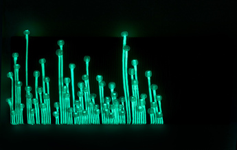 Seta de Mar di notte